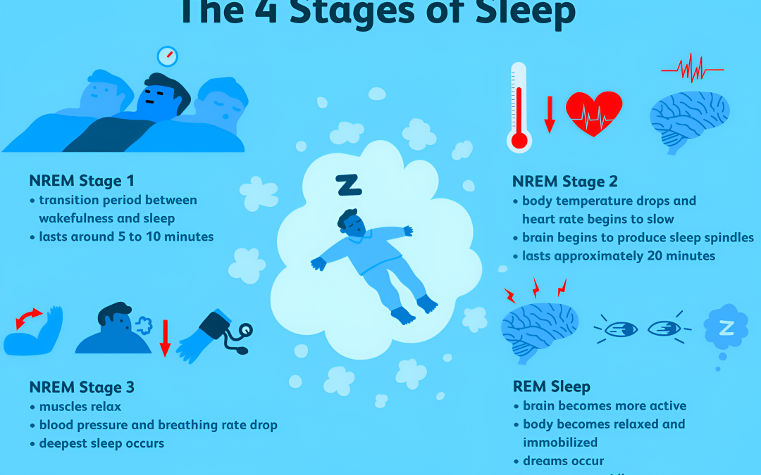What are the different stages of sleep?